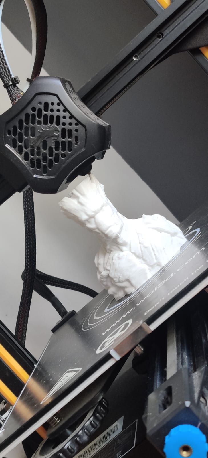 Project Print 15