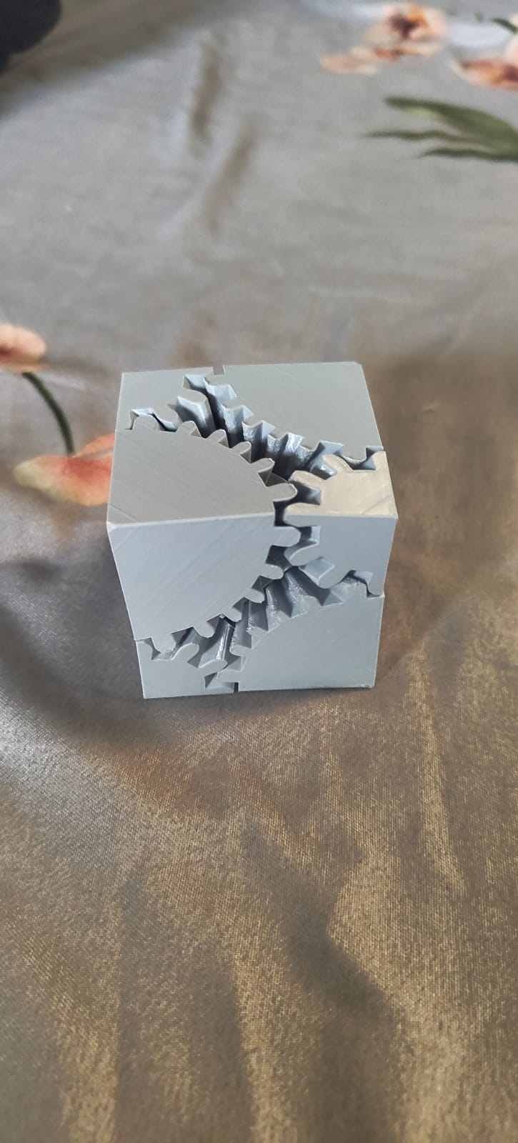Project Print 7
